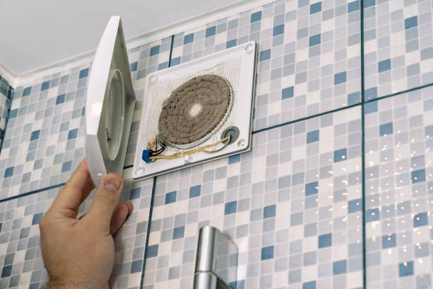 Best Affordable Duct Cleaning Services  in Dland, MI