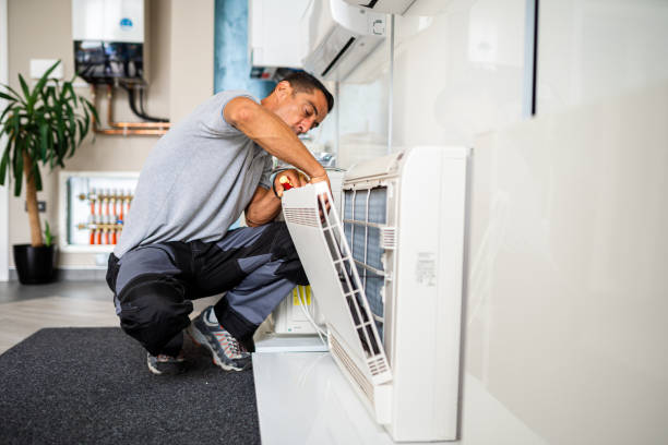 Best HVAC Air Duct Cleaning  in Dland, MI