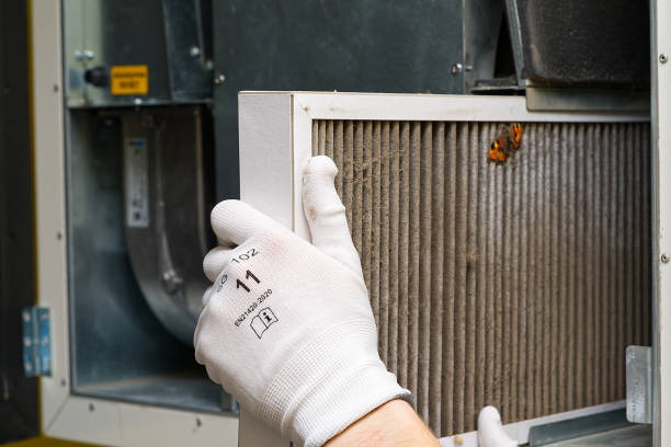Air Duct Mold Removal in Midland, MI