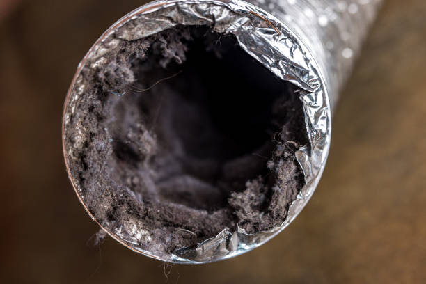 Best Air Duct Cleaning Near Me  in Dland, MI
