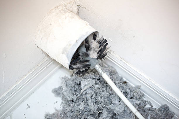 Best Professional Duct Cleaning Services  in Dland, MI